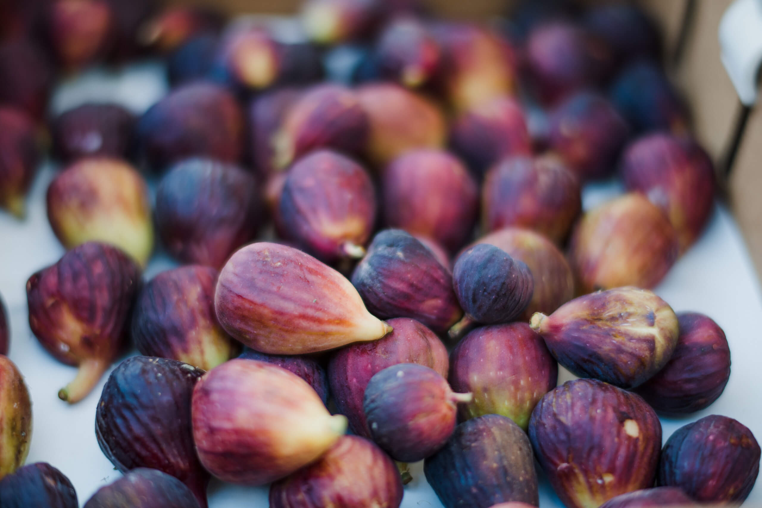 farmers-market-10