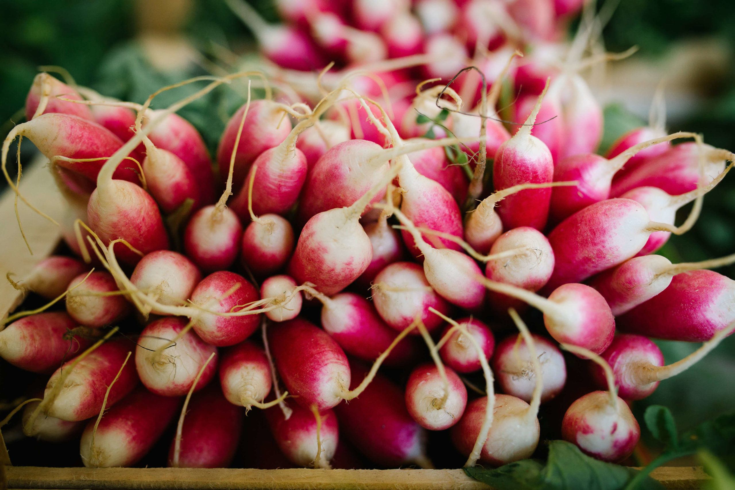 farmers-market-21