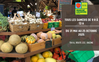 Cap sur le réconfort gourmand!